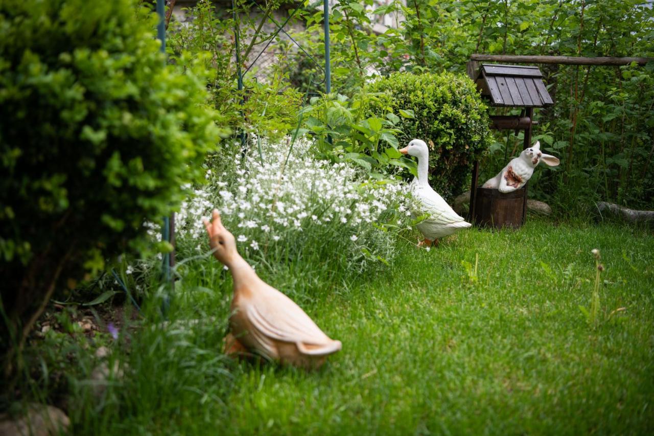 Guest House Rossy 트리그라드 외부 사진