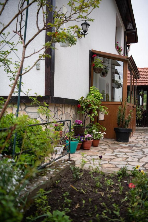 Guest House Rossy 트리그라드 외부 사진